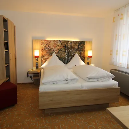 Hotel Ringhotel Hasen