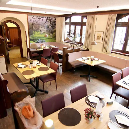 فندق Ringhotel Hasen