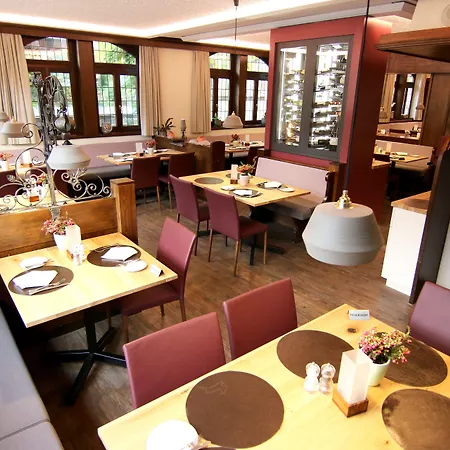 Ringhotel Hasen 4* هيرنباغ