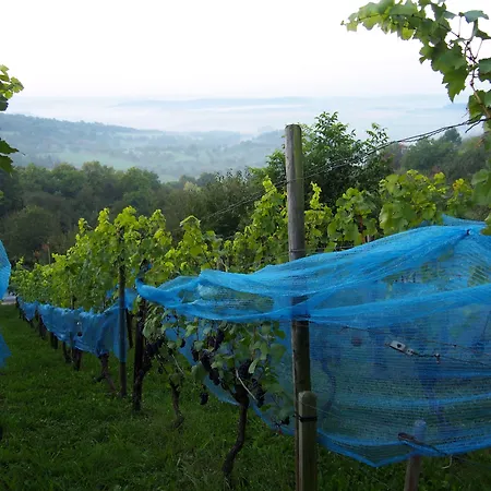 Ringhotel Hasen Hotel Herrenberg