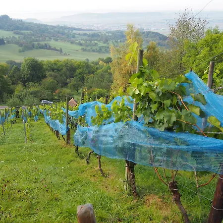 Hotel Ringhotel Hasen