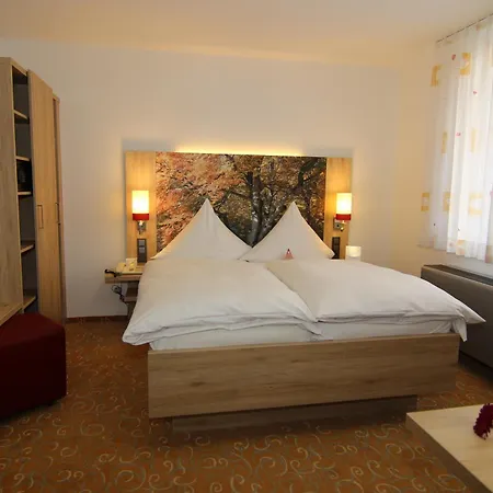 Ringhotel Hasen 4* Herrenberg
