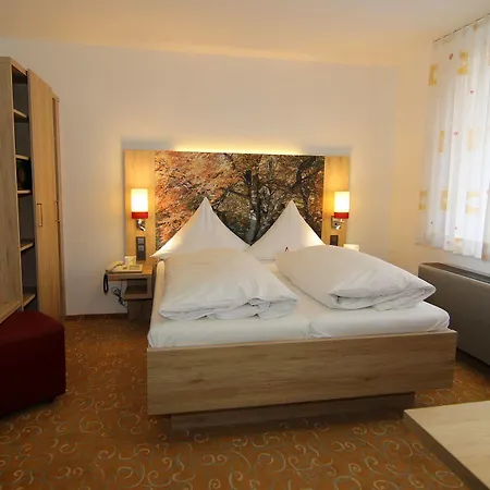 Ringhotel Hasen 4* Herrenberg