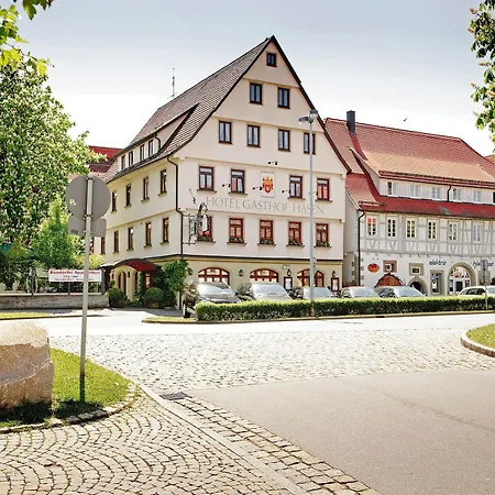 Ringhotel Hasen Hotel 4*